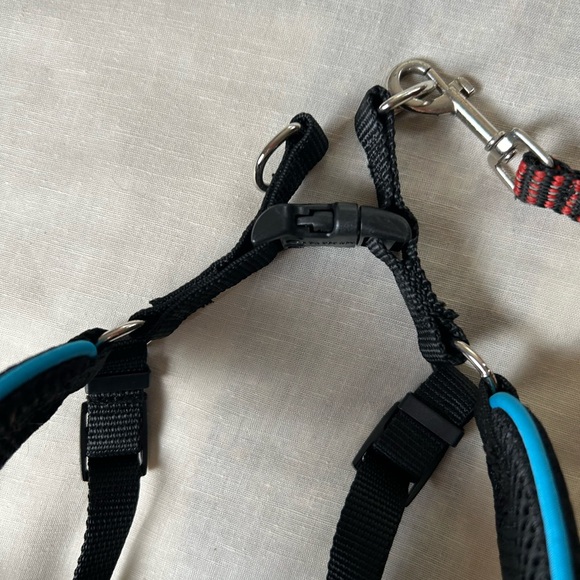 Dog Harness and leash Sz S soft clips on the shoulders 1/2 inch wide web leash - Picture 4 of 8